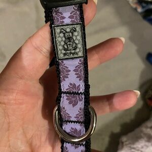 Dog Collar